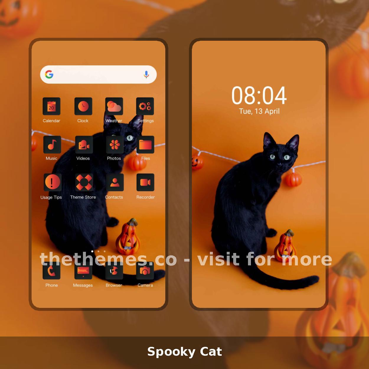 Spooky Cat