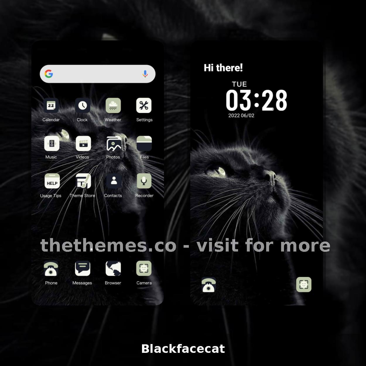 Blackfacecat