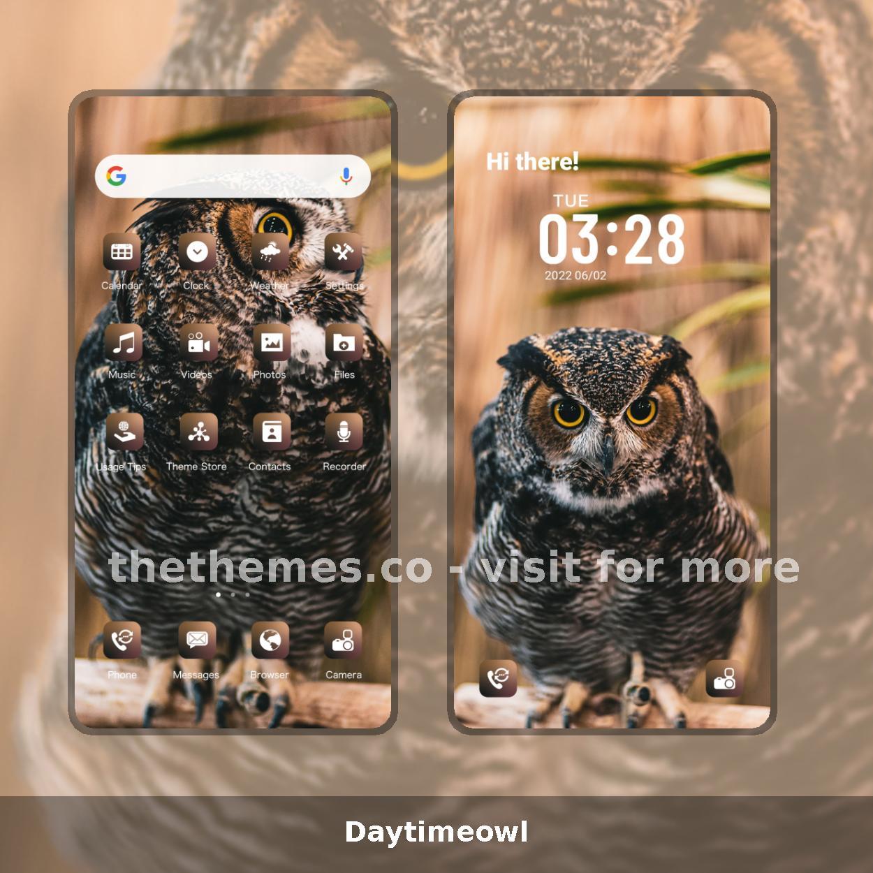 Daytimeowl