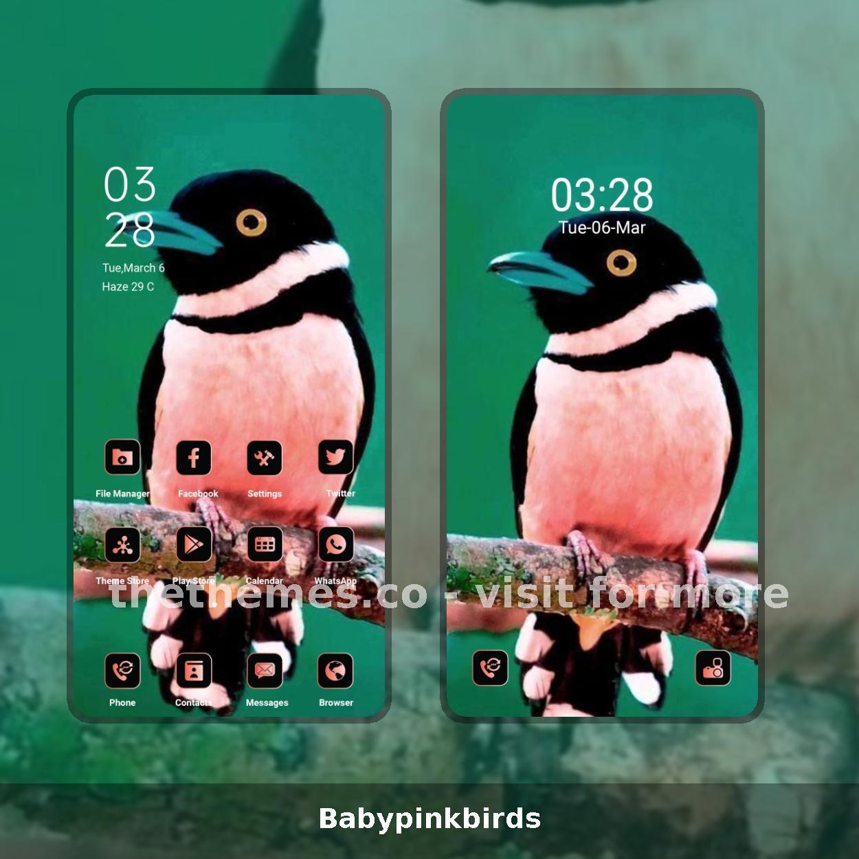 Babypinkbirds