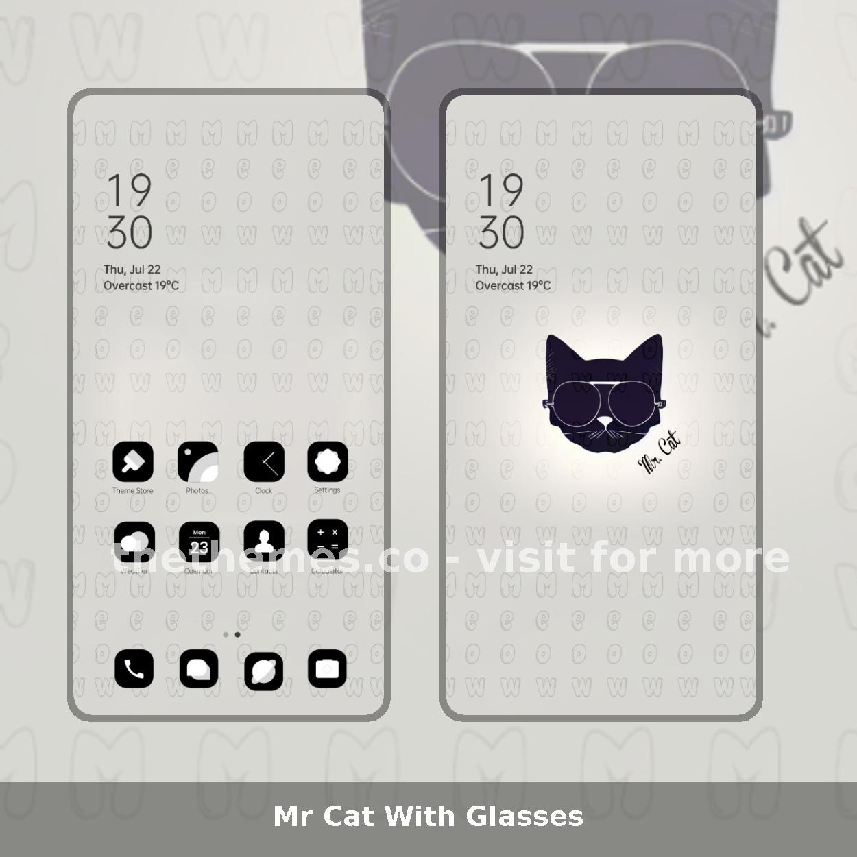 Mr Cat With Glasses