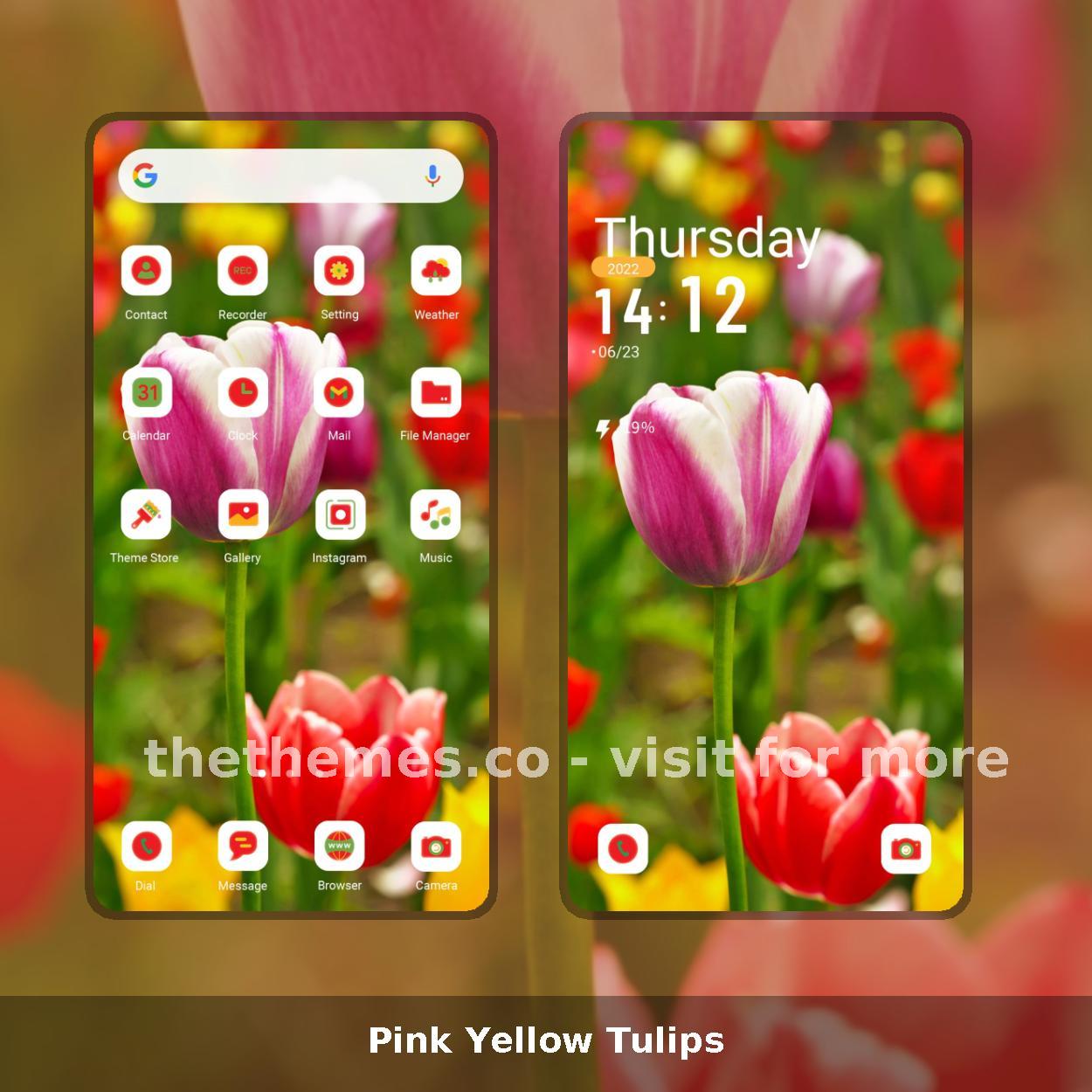 Pink Yellow Tulips