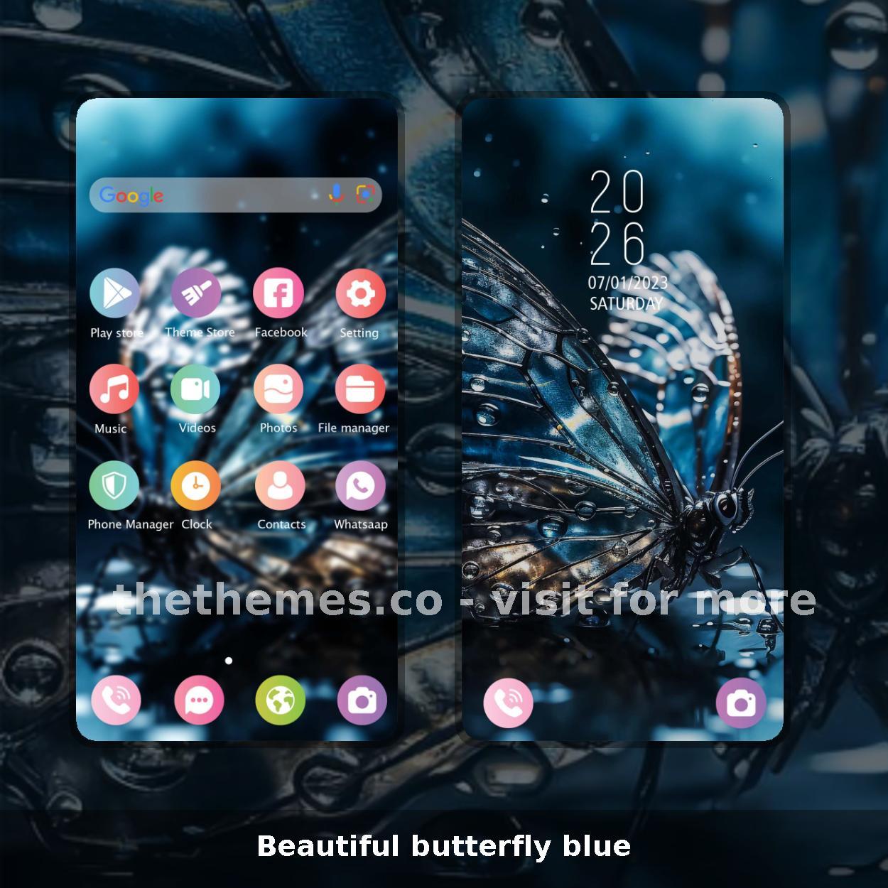 Beautiful butterfly blue