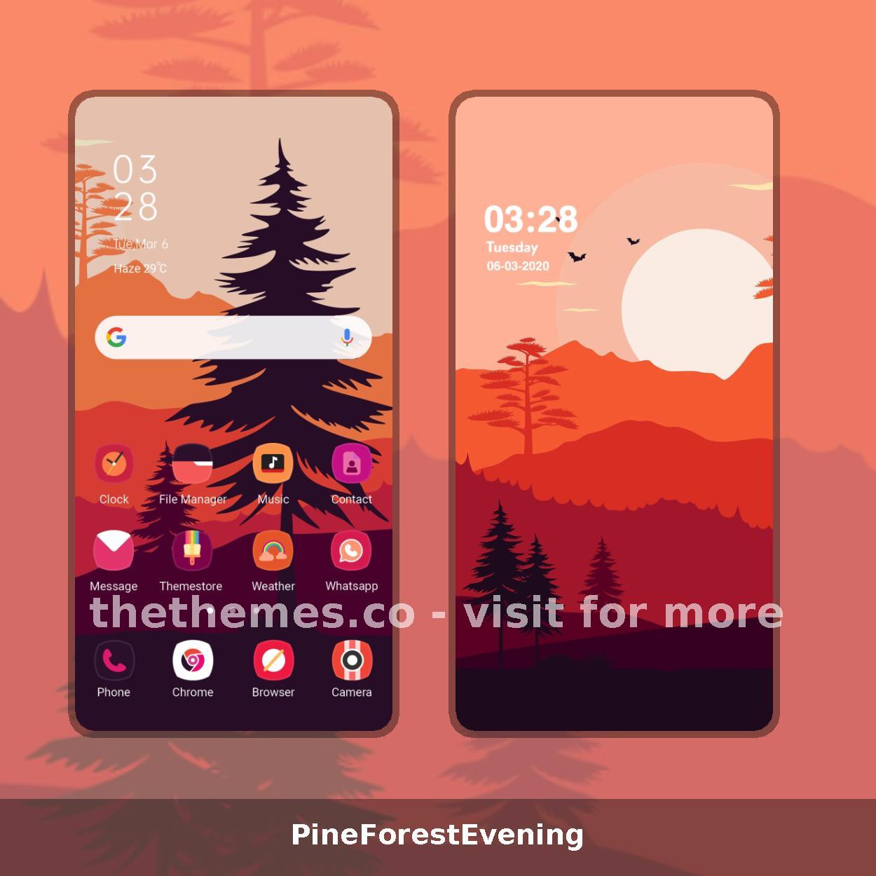 PineForestEvening