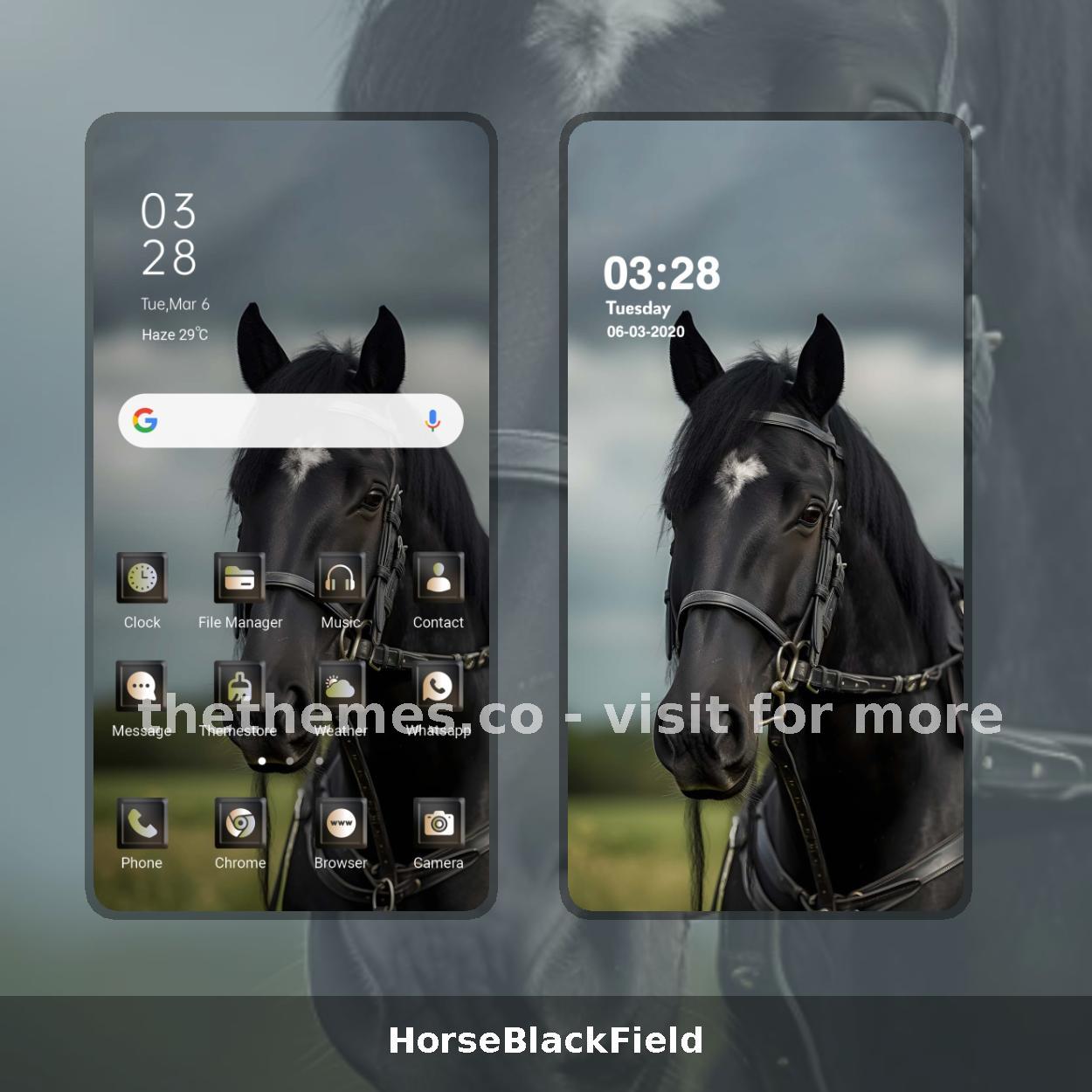 HorseBlackField