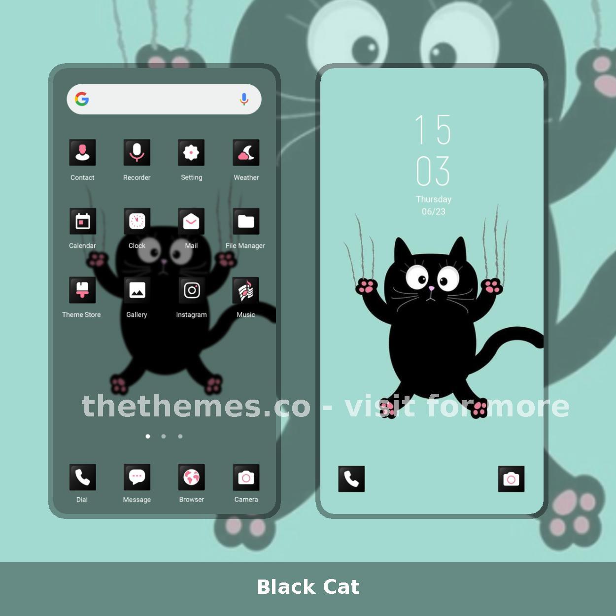 Black Cat
