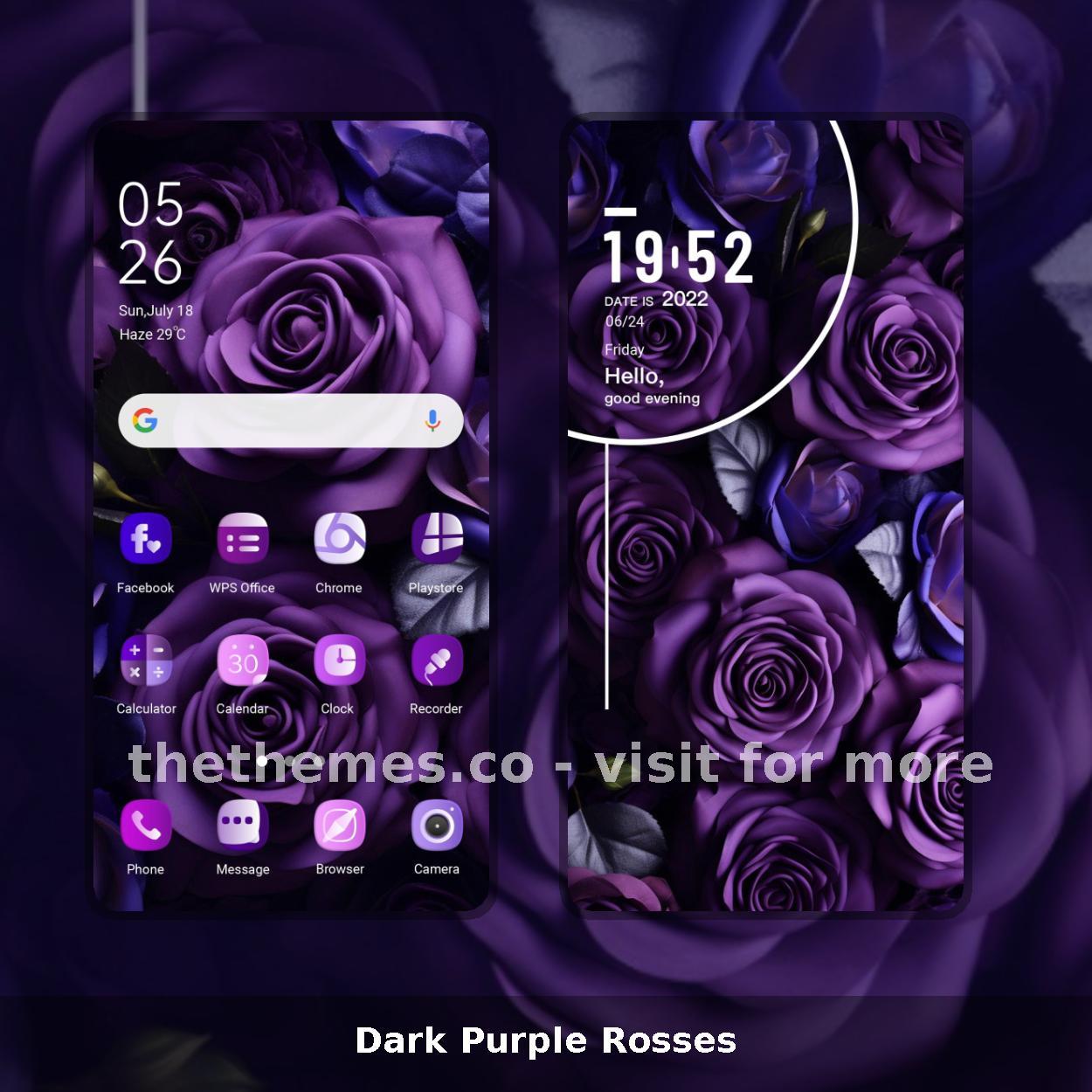Dark Purple Rosses